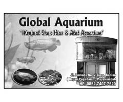 Global Aquarium